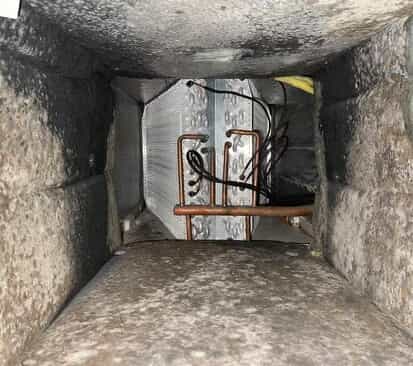 Biological growth visible inside a duct cavity around an evaporator coil